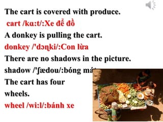 The cart is covered with produce.
cart /kɑ:t/:Xe để đồ
A donkey is pulling the cart.
donkey /'dɔɳki/:Con lừa
There are no shadows in the picture.
shadow /'ʃædou/:bóng mát
The cart has four
wheels.
wheel /wi:l/:bánh xe
 