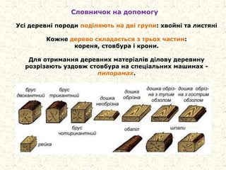 Словничок на допомогу
Усі деревні породи поділяють на дві групи: хвойні та листяні
Кожне дерево складається з трьох частин:
кореня, стовбура і крони.
Для отримання деревних матеріалів ділову деревину
розрізають уздовж стовбура на спеціальних машинах -
пилорамах.
 
