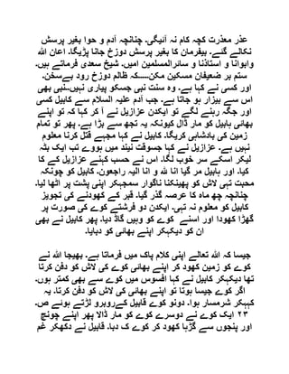  مقصود حسنی کے لسانی جائزے