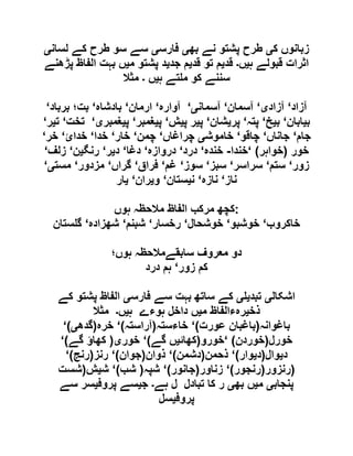  مقصود حسنی کے لسانی جائزے