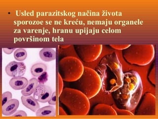 55. 56. nastavna jedinica