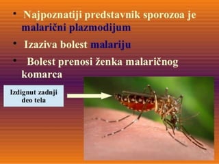 55. 56. nastavna jedinica