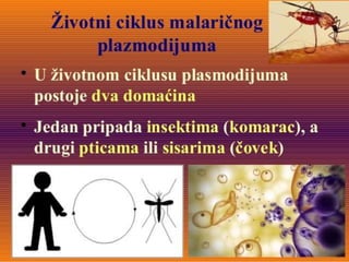 55. 56. nastavna jedinica