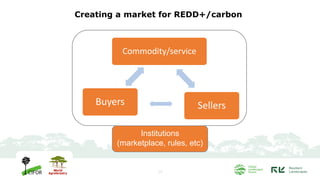 Towards carbon market in Indonesia: Progress and lessons