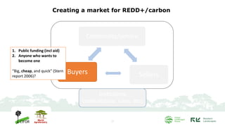 Towards carbon market in Indonesia: Progress and lessons