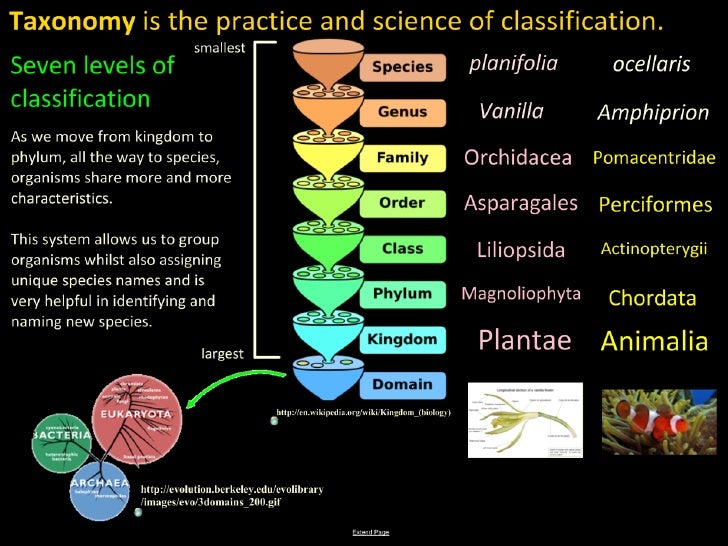 5.5 Classification