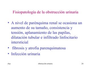 Fisiopatología de la obstrucción urinaria A nivel de parénquima renal se ocasiona un aumento de su tamaño, consistencia y tensión, aplanamiento de las papilas, dilatación tubular e infiltrado linfocitario intersticial  fibrosis y atrofia parenquimatosa Infección urinaria 