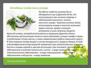 Лечебные свойства клевера были
обнаружены еще в Древнем Китае. Он
использовался при лечении подагры и
заболеваний кишечника, печени,
желчного пузыря. Травники испокон веков
использовали клевер в качестве источника
меди и магния, хрома и кальция,
витаминов и иных полезных веществ.
Красный клевер, который использовался в медицине Древнего Китая,
обеспечивал детоксикацию печени и всего организма, очищал лимфу и кровь,
способствовал оттоку желчи, а также нормализовал работу кишечного тракта.
В Чехословакии клевер входит в состав желудочных и грудных сборов. В США
и Великобритании отвар соцветий применяют при злокачественных опухолях.
Настои и отвары корней и цветков используют при гингивите, воспалительных
заболеваниях слизистой полости рта, ангине - в виде полосканий, при
гинекологических заболеваниях - в виде спринцеваний, при глазных
заболеваниях и абсцессах - в виде примочек.
Лечебные свойства клевера
 