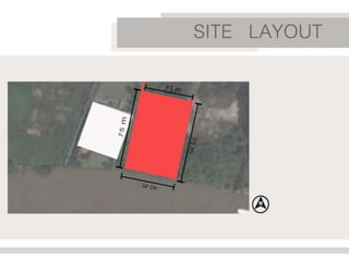 5500193 nittaya romprom