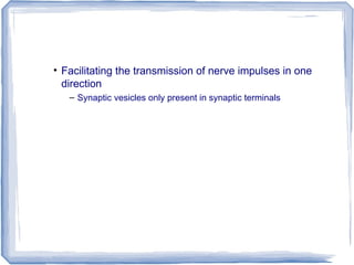 • Facilitating the transmission of nerve impulses in one
direction
– Synaptic vesicles only present in synaptic terminals
 