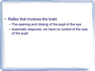 • Reflex that involves the brain
– The opening and closing of the pupil of the eye
– Automatic response, we have no control of the size
of the pupil
 