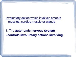 Involuntary action which involves smooth
muscles, cardiac muscle or glands
1. The autonomic nervous system
- controls involuntary actions involving :
 