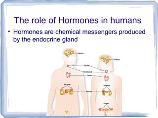The role of Hormones in humans
• Hormones are chemical messengers produced
by the endocrine gland
 