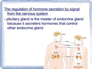 The regulation of hormone secretion by signal
from the nervous system
- pituitary gland is the master of endocrine gland
because it secreters hormones that control
other endocrine gland
 