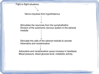 Fight or flight situations
Nerve impulses from hypothalamus
Stimulates the neurones from the symphathethic
Division of the autonomic nervous system in the adrenal
medulla
Stimulate the cells of the adrenal medulla to secrete
Adrenaline and noradrenaline
Adrenaline and noradrenaline cause increase in heartbeat,
Blood pressure, blood glucose level, metabolic activity
 