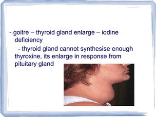 - goitre – thyroid gland enlarge – iodine
deficiency
- thyroid gland cannot synthesise enough
thyroxine, its enlarge in response from
pituitary gland
 