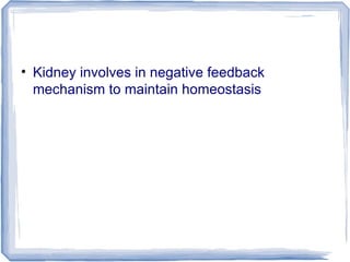 • Kidney involves in negative feedback
mechanism to maintain homeostasis
 