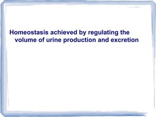 Homeostasis achieved by regulating the
volume of urine production and excretion
 