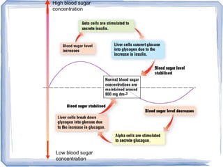 High blood sugar
concentration
Low blood sugar
concentration
 