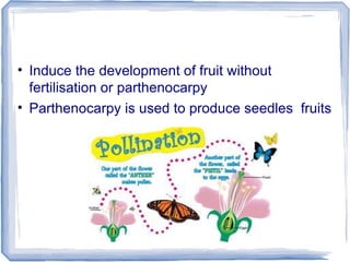 • Induce the development of fruit without
fertilisation or parthenocarpy
• Parthenocarpy is used to produce seedles fruits
 