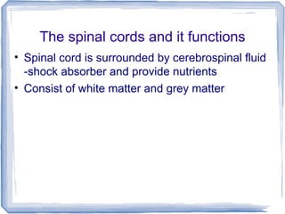 The spinal cords and it functions
• Spinal cord is surrounded by cerebrospinal fluid
-shock absorber and provide nutrients
• Consist of white matter and grey matter
 