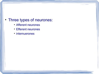 • Three types of neurones:
• Afferent neurones
• Efferent neurones
• internuerones
 