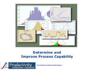 Your Gateway to Business Excellence
Determine and
Improve Process Capability
 