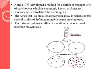 • Ames (1973) developed a method for deletion of mutagenicity
of carcinogens which is commonly known as Ames test.
• It is widely used to detect the carcinogens.
• The Ames test is a mutational reversion assay in which several
special strains of Salmonella typhimurium are employed.
• Each strain contains a different mutation in the operon of
histidine biosynthesis.
 
