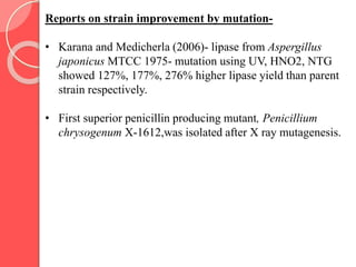 Reports on strain improvement by mutation-
• Karana and Medicherla (2006)- lipase from Aspergillus
japonicus MTCC 1975- mutation using UV, HNO2, NTG
showed 127%, 177%, 276% higher lipase yield than parent
strain respectively.
• First superior penicillin producing mutant, Penicillium
chrysogenum X-1612,was isolated after X ray mutagenesis.
 