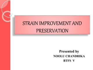 STRAIN IMPROVEMENT AND
PRESERVATION
Presented by
NOOLU CHANDRIKA
BTFS V
 