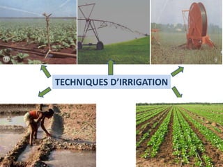 TECHNIQUES D’IRRIGATION
 