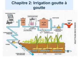 Chapitre 2: Irrigation goutte à
goutte
 