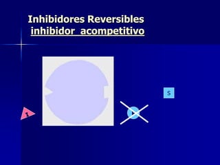 Inhibidores Reversibles
inhibidor acompetitivo
S
P
 