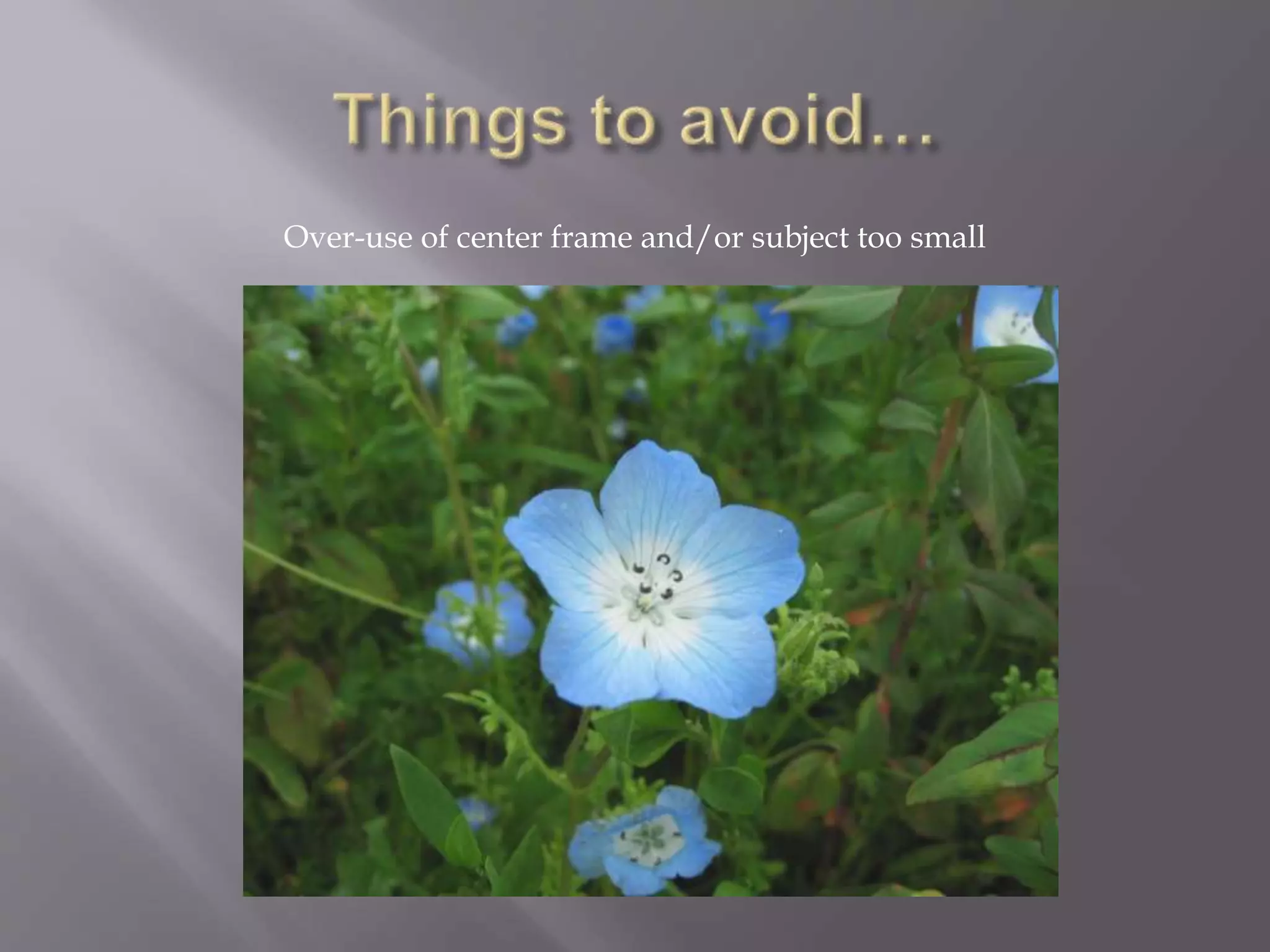 Over-use of center frame and/or subject too small
 