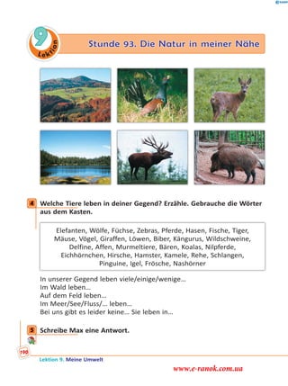 Le ktion
9 Stunde 93. Die Natur in meiner Nähe
4 Welche Tiere leben in deiner Gegend? Erzähle. Gebrauche die Wörter
aus dem Kasten.
Elefanten, Wölfe, Füchse, Zebras, Pferde, Hasen, Fische, Tiger,
Mäuse, Vögel, Giraffen, Löwen, Biber, Kängurus, Wildschweine,
Delfine, Affen, Murmeltiere, Bären, Koalas, Nilpferde,
Eichhörnchen, Hirsche, Hamster, Kamele, Rehe, Schlangen,
Pinguine, Igel, Frösche, Nashörner
In unserer Gegend leben viele/einige/wenige…
Im Wald leben…
Auf dem Feld leben…
Im Meer/See/Fluss/… leben…
Bei uns gibt es leider keine… Sie leben in…
5 Schreibe Max eine Antwort.
4
5
Lektion 9. Meine Umwelt
190
www.e-ranok.com.ua
 