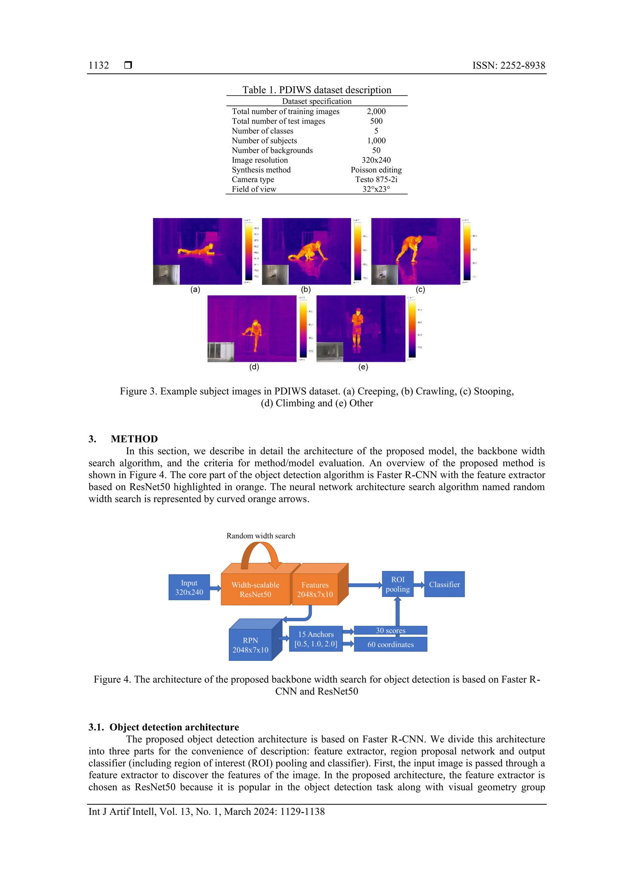  ISSN: 2252-8938
Int J Artif Intell, Vol. 13, No. 1, March 2024: 1129-1138
1132
Table 1. PDIWS dataset description
Dataset specification
Total number of training images 2,000
Total number of test images 500
Number of classes 5
Number of subjects 1,000
Number of backgrounds 50
Image resolution 320x240
Synthesis method Poisson editing
Camera type Testo 875-2i
Field of view 32°x23°
Figure 3. Example subject images in PDIWS dataset. (a) Creeping, (b) Crawling, (c) Stooping,
(d) Climbing and (e) Other
3. METHOD
In this section, we describe in detail the architecture of the proposed model, the backbone width
search algorithm, and the criteria for method/model evaluation. An overview of the proposed method is
shown in Figure 4. The core part of the object detection algorithm is Faster R-CNN with the feature extractor
based on ResNet50 highlighted in orange. The neural network architecture search algorithm named random
width search is represented by curved orange arrows.
Figure 4. The architecture of the proposed backbone width search for object detection is based on Faster R-
CNN and ResNet50
3.1. Object detection architecture
The proposed object detection architecture is based on Faster R-CNN. We divide this architecture
into three parts for the convenience of description: feature extractor, region proposal network and output
classifier (including region of interest (ROI) pooling and classifier). First, the input image is passed through a
feature extractor to discover the features of the image. In the proposed architecture, the feature extractor is
chosen as ResNet50 because it is popular in the object detection task along with visual geometry group
 