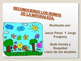 Realizado por: Jesús Pérez  Y Jorge Forgiony Sede Honda y Guayabal Llano de los alcaldes 