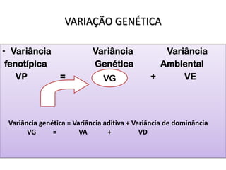 VARIAÇÃO GENÉTICA
• Variância Variância Variância
fenotípica Genética Ambiental
VP = VG + VEVG
Variância genética = Variância aditiva + Variância de dominância
VG = VA + VD
 