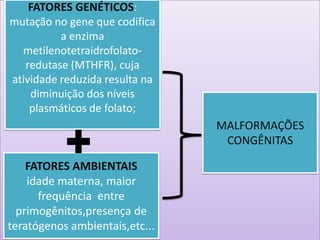 FATORES GENÉTICOS:
mutação no gene que codifica
a enzima
metilenotetraidrofolato-
redutase (MTHFR), cuja
atividade reduzida resulta na
diminuição dos níveis
plasmáticos de folato;
FATORES AMBIENTAIS
idade materna, maior
frequência entre
primogênitos,presença de
teratógenos ambientais,etc...
MALFORMAÇÕES
CONGÊNITAS
 