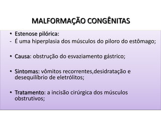 MALFORMAÇÃO CONGÊNITAS
• Estenose pilórica:
- É uma hiperplasia dos músculos do piloro do estômago;
• Causa: obstrução do esvaziamento gástrico;
• Sintomas: vômitos recorrentes,desidratação e
desequilíbrio de eletrólitos;
• Tratamento: a incisão cirúrgica dos músculos
obstrutivos;
 