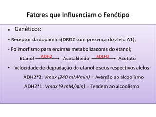 Fatores que Influenciam o Fenótipo
 Genéticos:
- Receptor da dopamina(DRD2 com presença do alelo A1);
- Polimorfismo para enzimas metabolizadoras do etanol;
Etanol Acetaldeído Acetato
• Velocidade de degradação do etanol e seus respectivos alelos:
ADH2*2: Vmax (340 mM/min) = Aversão ao alcoolismo
ADH2*1: Vmax (9 mM/min) = Tendem ao alcoolismo
ADH2 ADLH2
 