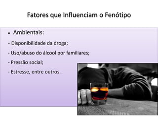 Fatores que Influenciam o Fenótipo
 Ambientais:
- Disponibilidade da droga;
- Uso/abuso do álcool por familiares;
- Pressão social;
- Estresse, entre outros.
 