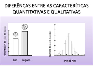 DIFERÊNÇAS ENTRE AS CARACTERÍTICAS
QUANTITATIVAS E QUALITATIVAS
lisa rugosa
Porcentagemdototaldeplantas
Peso( Kg)
Númeroderecém-nascidos
 