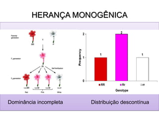 HERANÇA MONOGÊNICA
Dominância incompleta Distribuição descontínua
 