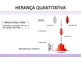 HERANÇA QUANTITATIVA
 