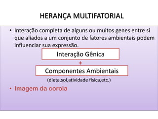 HERANÇA MULTIFATORIAL
• Interação completa de alguns ou muitos genes entre si
que aliados a um conjunto de fatores ambientais podem
influenciar sua expressão.
+
(dieta,sol,atividade física,etc.)
• Imagem da corola
Interação Gênica
Componentes Ambientais
 