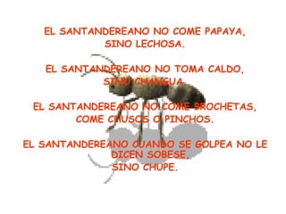 EL SANTANDEREANO NO COME PAPAYA,
            SINO LECHOSA.

   EL SANTANDEREANO NO TOMA CALDO,
            SINO CHANGUA.

 EL SANTANDEREANO NO COME BROCHETAS,
        COME CHUSOS O PINCHOS.

EL SANTANDEREANO CUANDO SE GOLPEA NO LE
              DICEN SOBESE,
              SINO CHUPE.
 