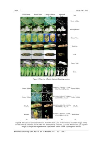  ISSN: 2302-9285
Bulletin of Electr Eng & Inf, Vol. 10, No. 6, December 2021 : 3432 – 3443
3438
Original Image Resized Image Contrast-Enhanced
Image
Segmented
Image
Type
Downy Mildew
Powdery Mildew
Mosaic Virus
Belly Rot
Scab
Cottony Leak
Fresh
Figure 5. Stepwise effect in Machine Learning process
Downy Mildew
(1.09,0.78,0.81,0.96,16.17,55.05,
1.31,2943.33,12.76,3.36)
Downy Mildew
Downy Mildew
(0.51,0.93,0.65,0.95,27.45,64.10,
2.23,3860.39,6.65,2.24)
Powdery Mildew
Belly Rot
(0.41,0.93,0.68,0.97,25.31,59.54,
1.91,3307.75,6.25,2.17)
Belly Rot
Belly Rot
(0.78,0.77,0.66,0.95,17.61,44.58,
1.95,1714.03,9.75,2.70)
Mosaic Virus
(a) (b) (c) (d) (e)
Figure 6. The value of extracted features is illustrated from a pair of two diseased cucumber images where
two are correctly classified and the other two are incorrectly classified, (a) actual disease class, (b) acquired
image, (c) image after segmentation, (d) extracted feature vector, (e) recognized disease
 