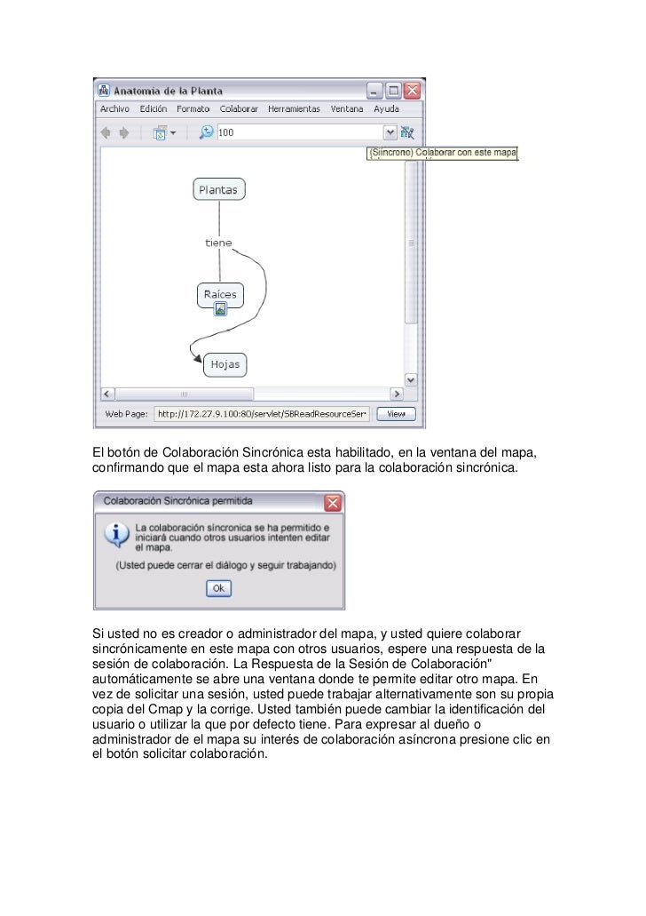 manual de cmaptools