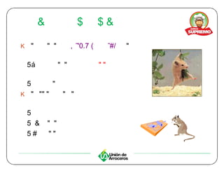 55398797 buenas-practicas-de-manufactura